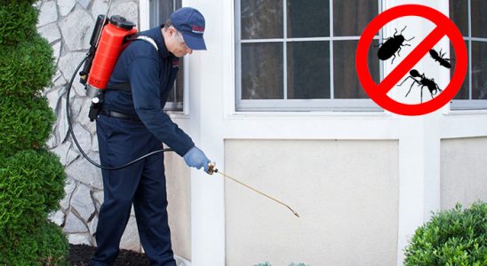 Çakmaklı Gümüşkurt İlaçlama böcek ilaçlama ve haşere kontrolü — ilaclama-tr.com